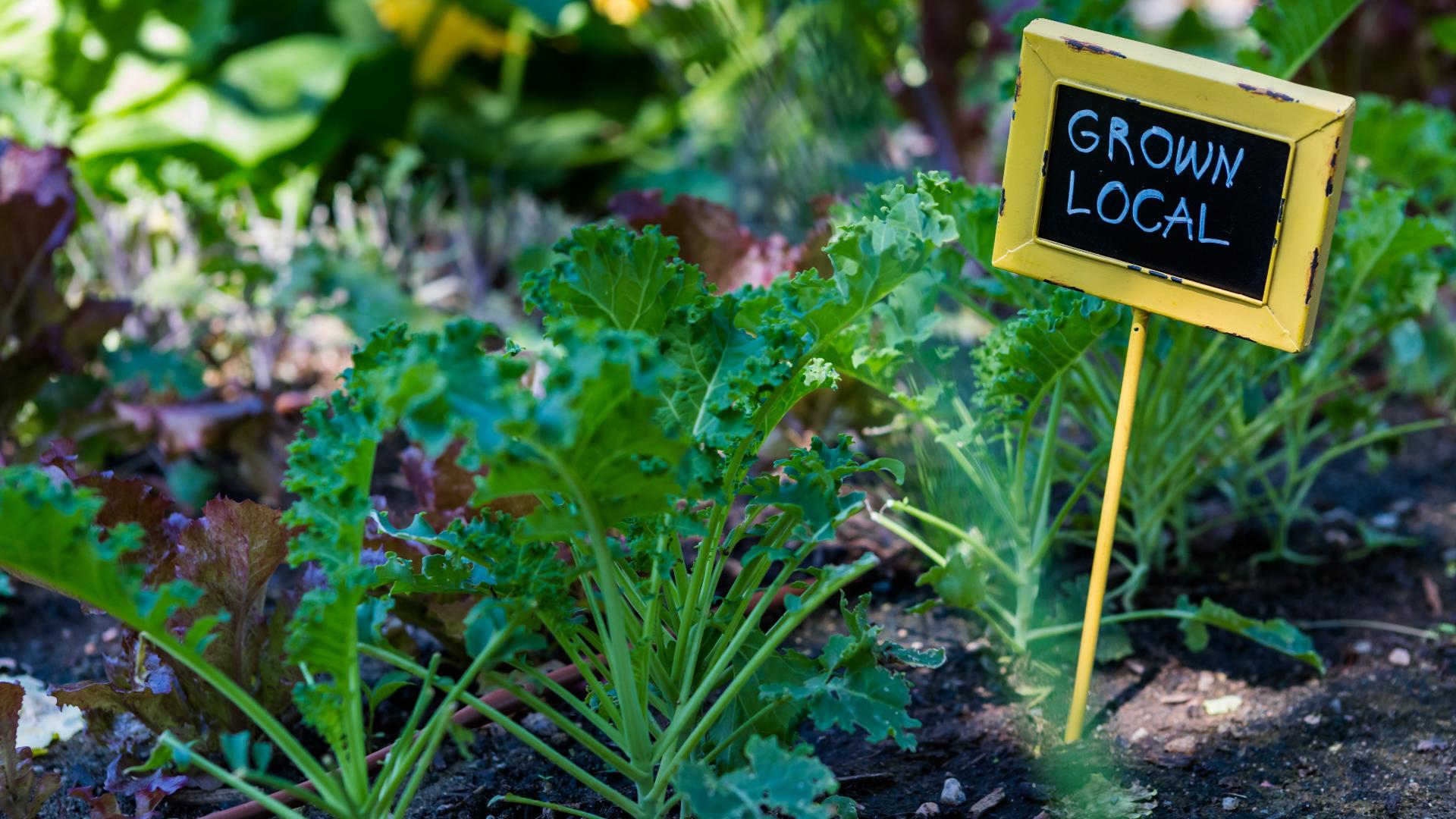 Urban League Kroger Growth Project.jpg